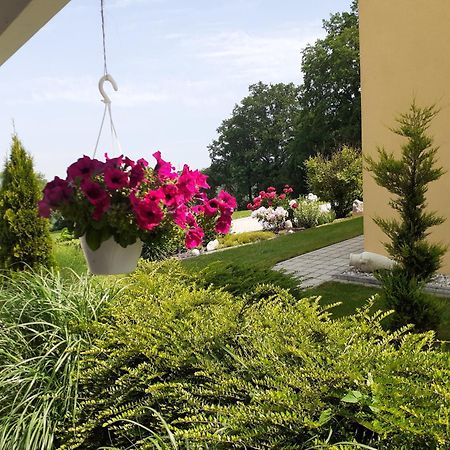 Villa Casa Sol-Rural Residence Near Linz Katsdorf Екстериор снимка