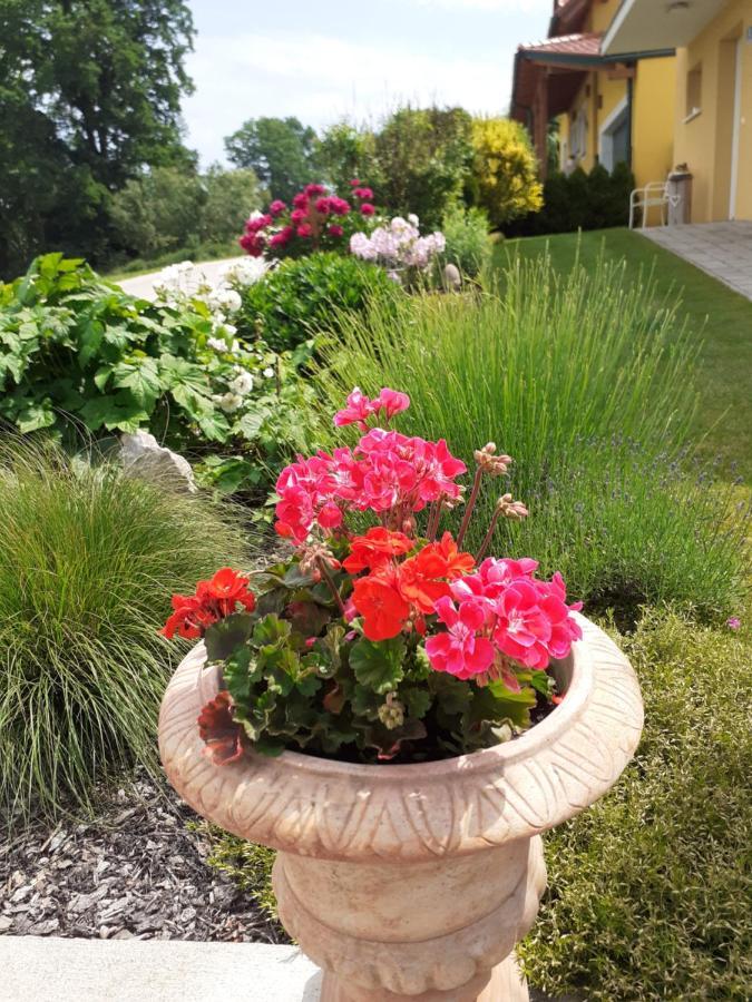 Villa Casa Sol-Rural Residence Near Linz Katsdorf Екстериор снимка